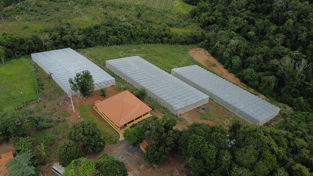 Vista aerea de haras piedade hospedagem pousada de animal cavalo