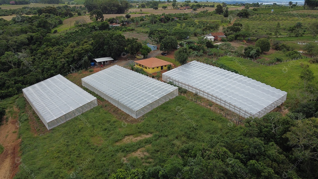 Vista aerea de haras piedade hospedagem pousada de animal cavalo