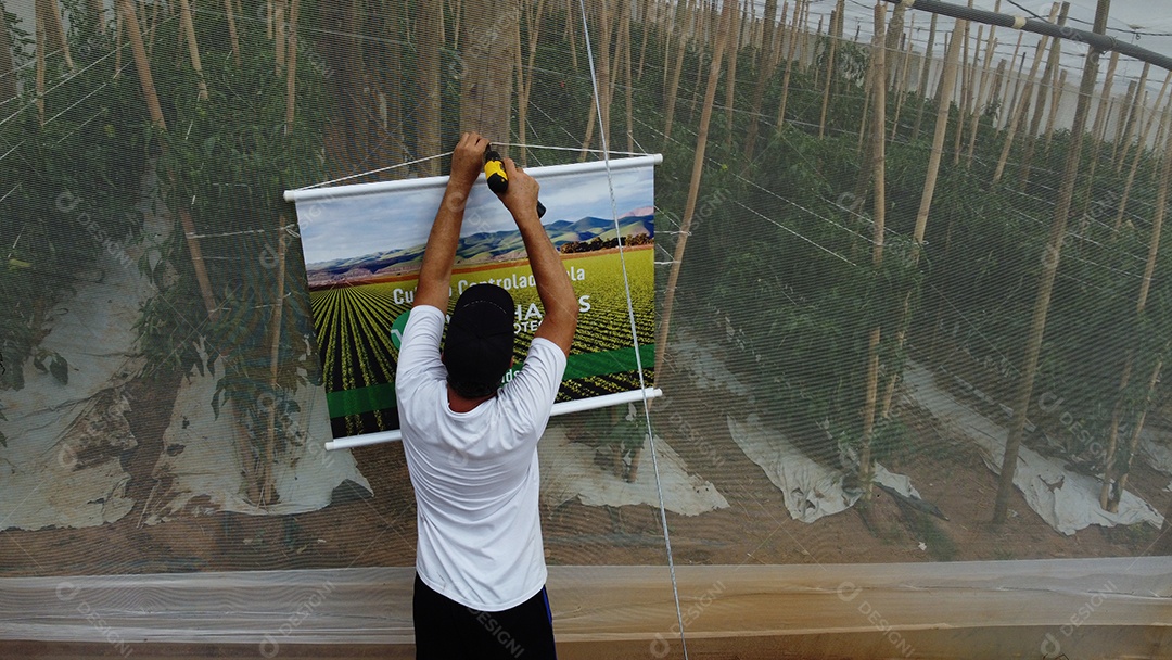 Person placing poster on wall