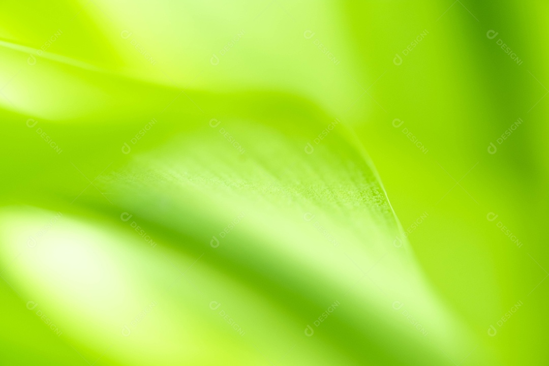 Visão da natureza da folha verde no fundo de vegetação turva no jardim com espaço de cópia usando como pano de fundo a paisagem natural de plantas verdes, ecologia, papel de parede fresco