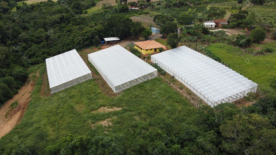 Vista aerea de haras piedade hospedagem pousada de animal cavalo