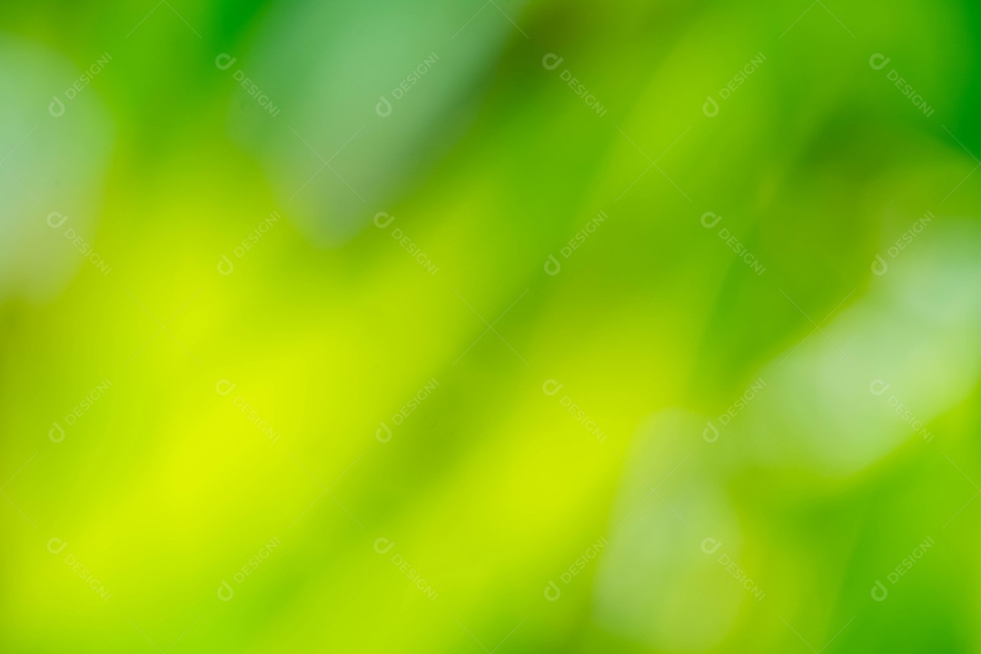 Visão da natureza da folha verde no fundo de vegetação turva no jardim com espaço de cópia