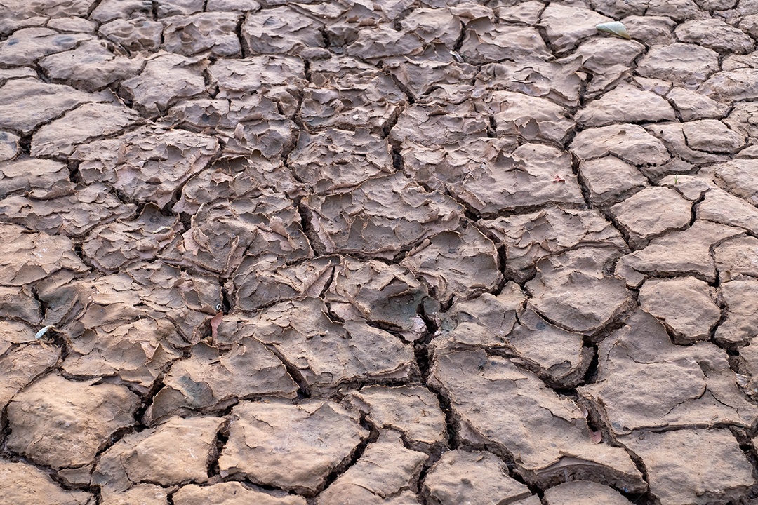 O solo rachado na estação seca indica um forte problema de seca da natureza.