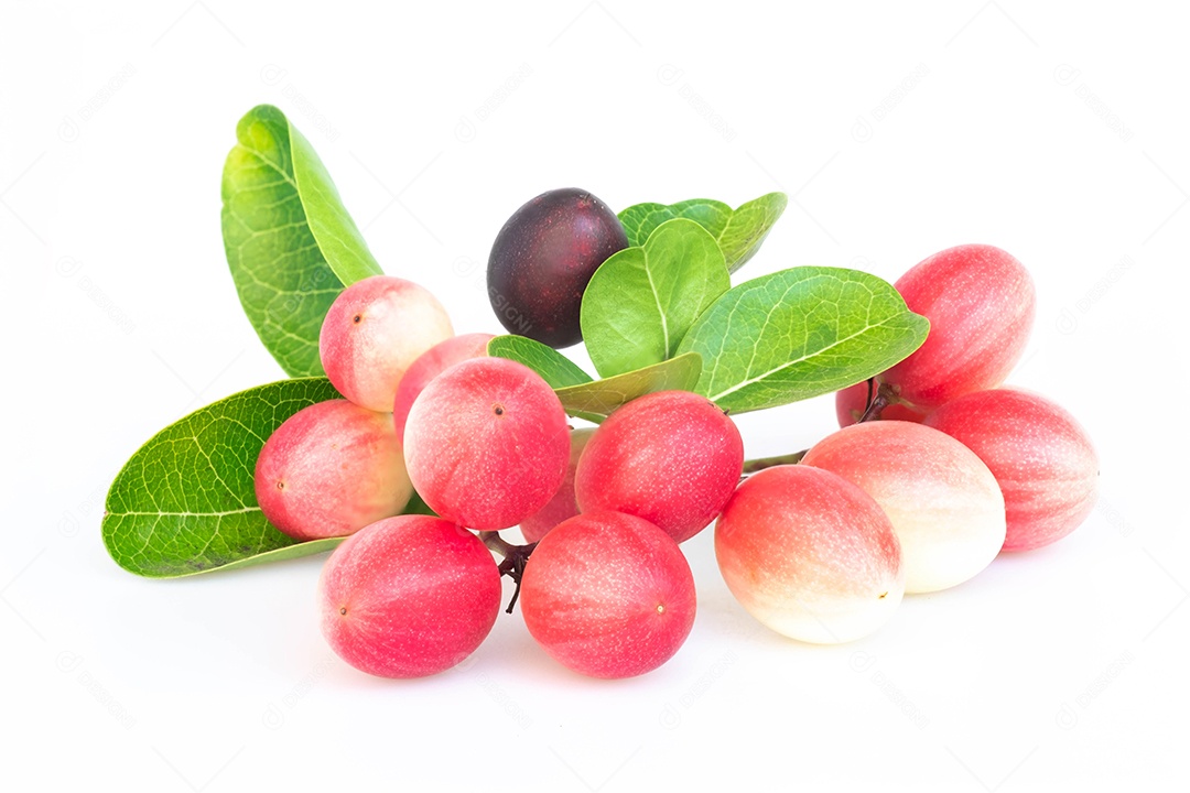 Ilustração de pinturas de frutas isolado no fundo branco