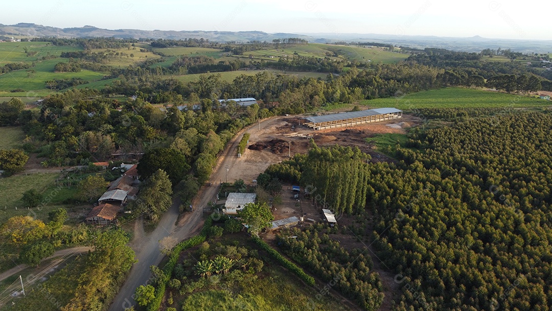 Vista aerea de uma floresta mata fechada paisagem montanhas