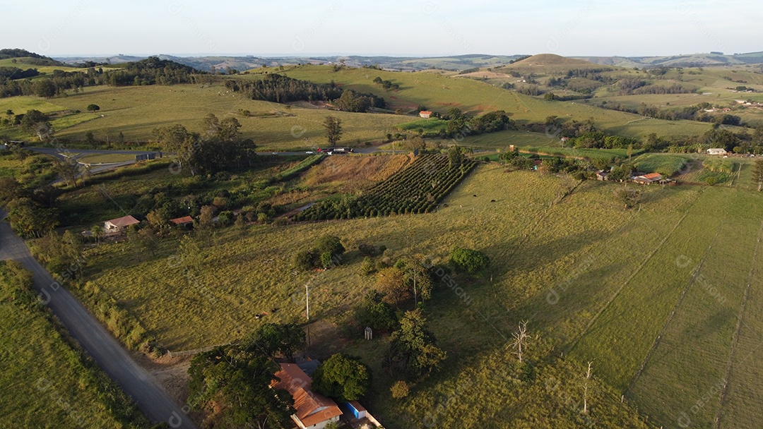 Vista aerea de uma floresta mata fechada paisagem montanhas