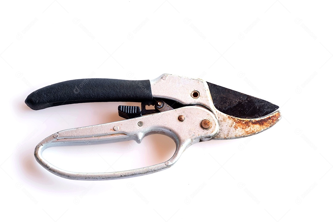 tesouras de poda pretas e prateadas velhas enquanto em uso isolado no fundo branco