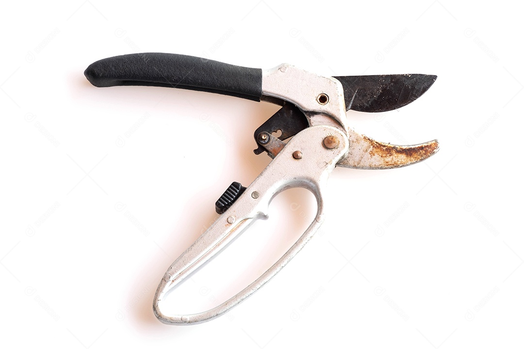 tesouras de poda pretas e prateadas velhas enquanto em uso isolado no fundo branco