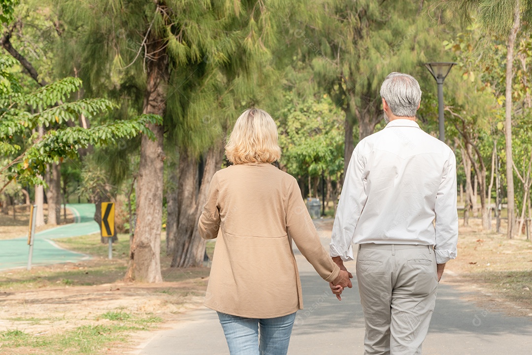 Parte traseira do homem e da mulher segurando a mão e caminhando no parque