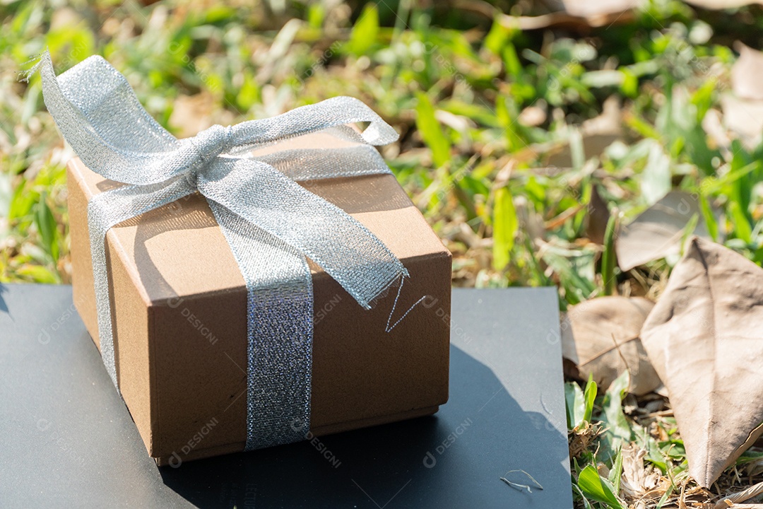 Caixa de presente com fita na grama