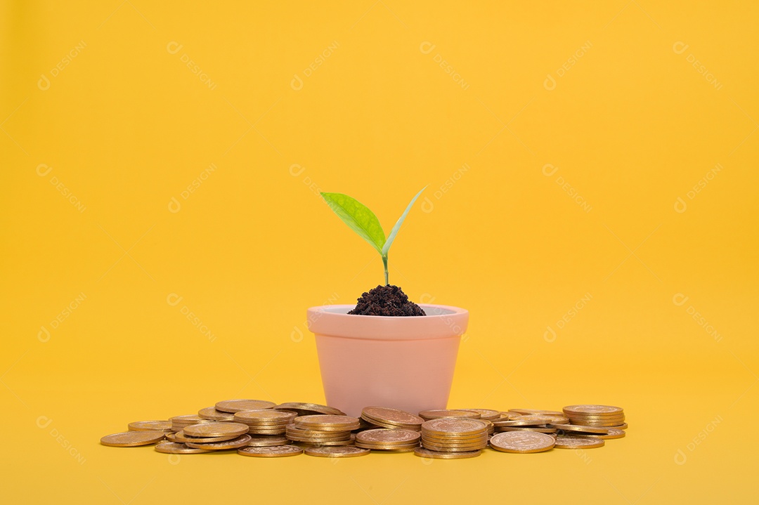 Economizar dinheiro, investir em ações, crescimento financeiro, renda