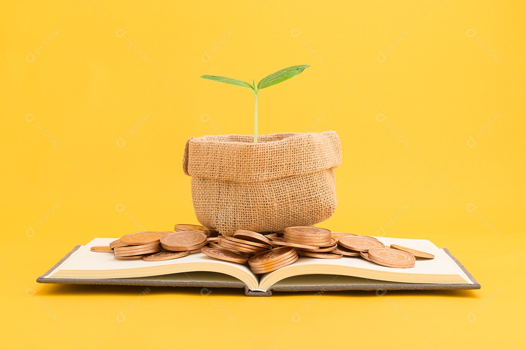 Economizar dinheiro, investir em ações, crescimento financeiro, renda