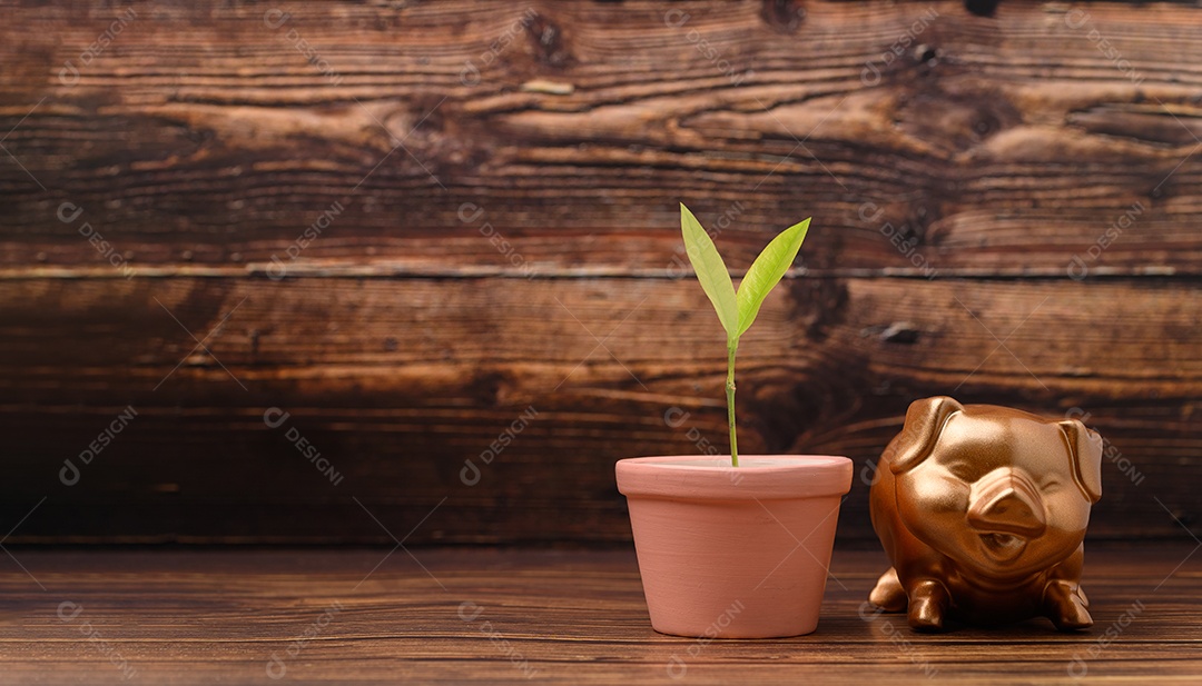 Cofrinho mostrando poupança, renda, investimentos, ações
