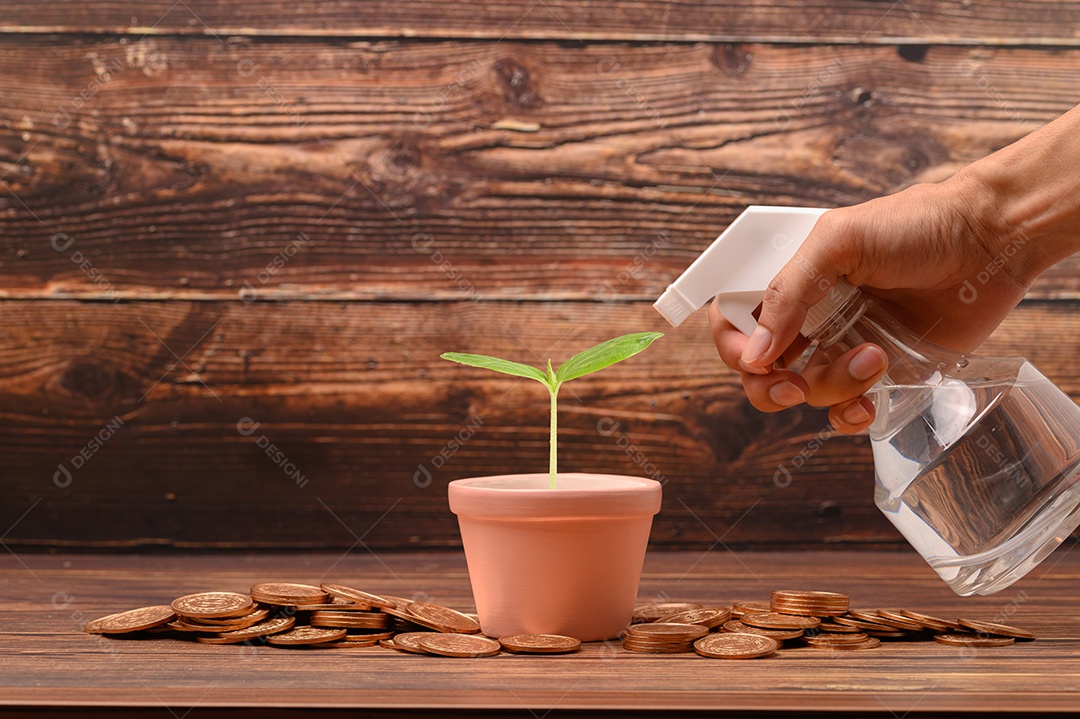 Economize dinheiro, invista, estoque, aumente a receita financeira.