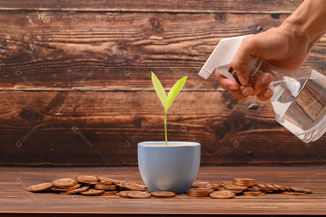 Economize dinheiro, invista, estoque, aumente a receita financeira.