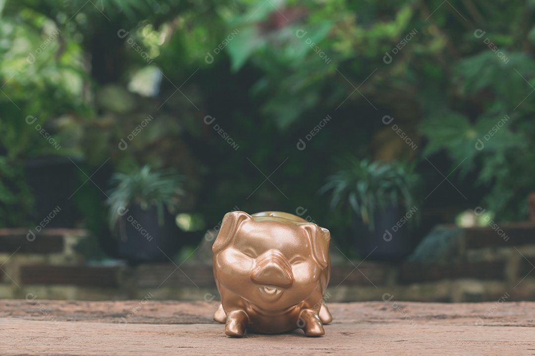 Cofrinho economiza dinheiro para o futuro