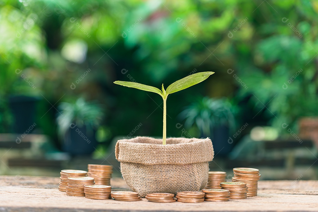 Economize dinheiro, invista ações, aumente sua renda.