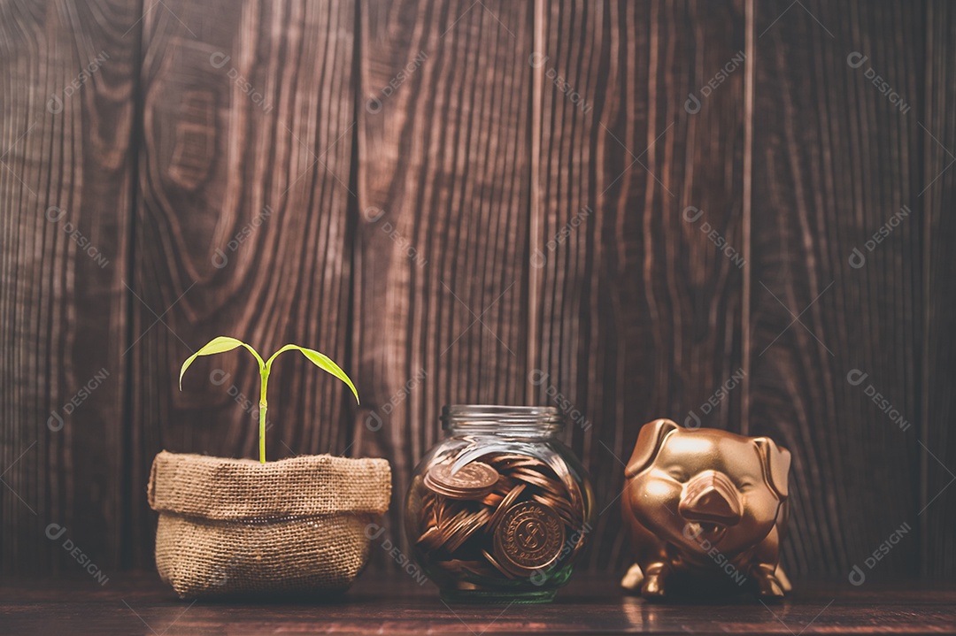 Economizar dinheiro, investir ações, renda financeira