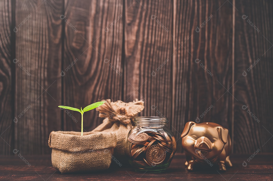 Economizar dinheiro, investir ações, renda financeira