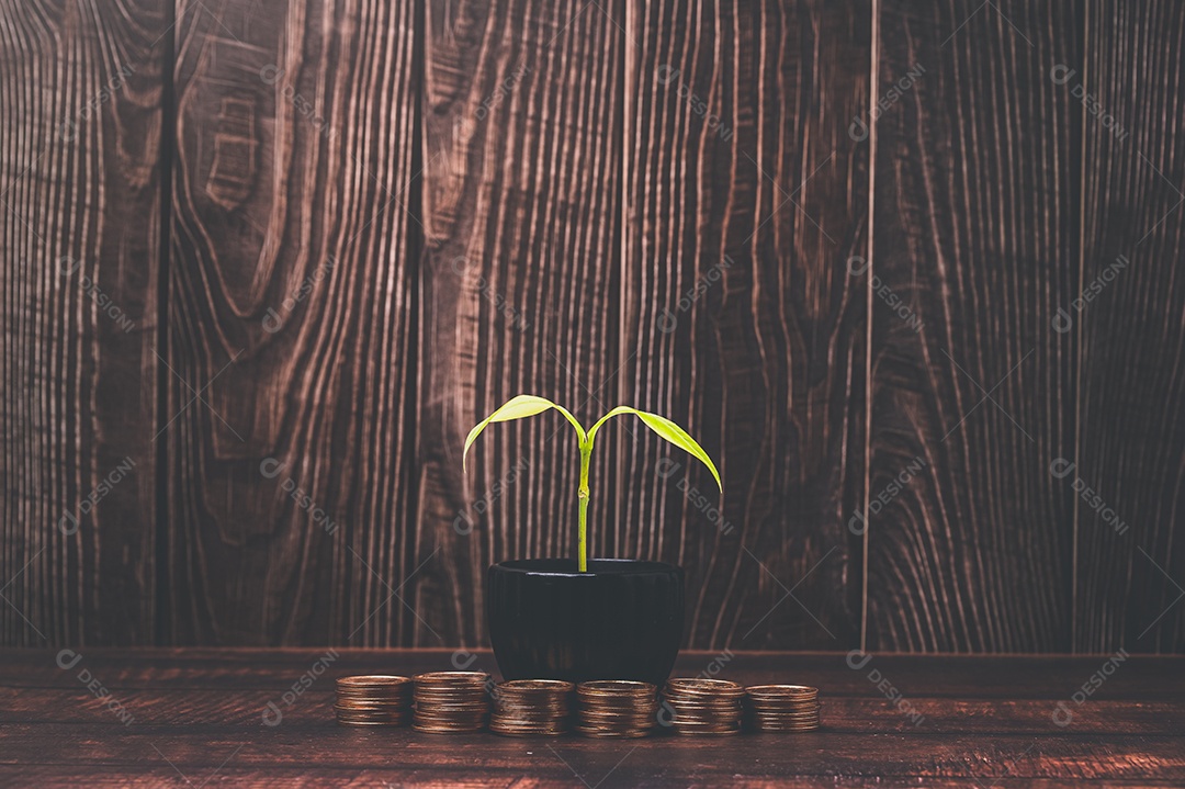 Economizar dinheiro, investir ações, renda financeira