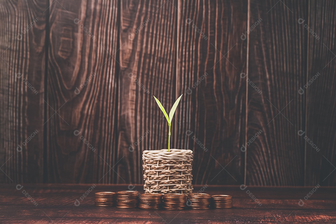 Economizar dinheiro, investir ações, renda financeira