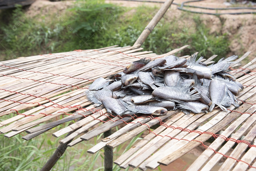 Muitos peixes salgados secos chamados Trichogaster pectoralis na folha de bambu, peixe sem cabeça na folha de bambu.