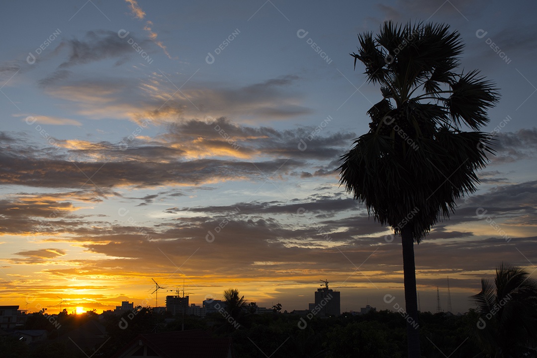 Mostre em silhueta a cidade abstrata e a palma de açúcar com céu crepuscular.