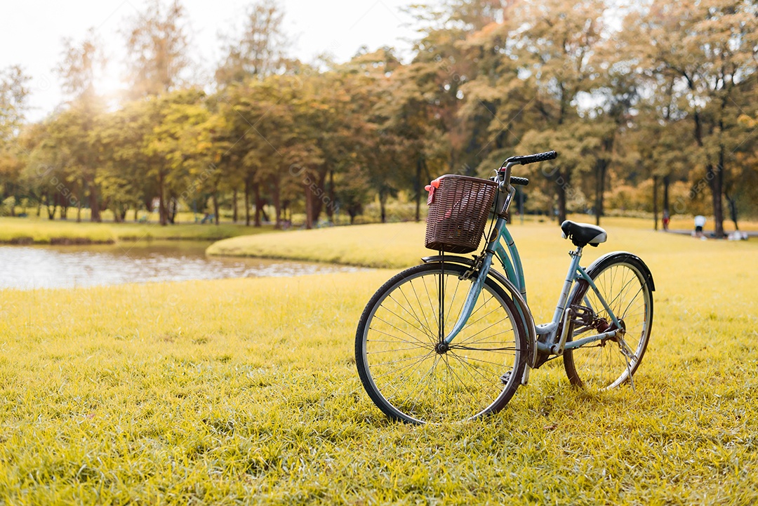 Bicicleta no parque outono. Conceito de esporte e atividade. Relaxe e o conceito de atividade. Lazer e tema da natureza. Tema de tom amarelo.