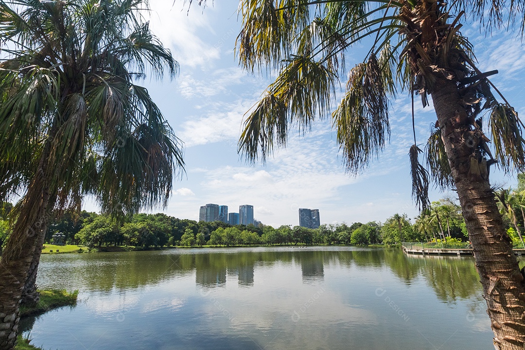 Parque público na cidade grande. Lugar e conceito ao ar livre. Natureza e tema da paisagem.