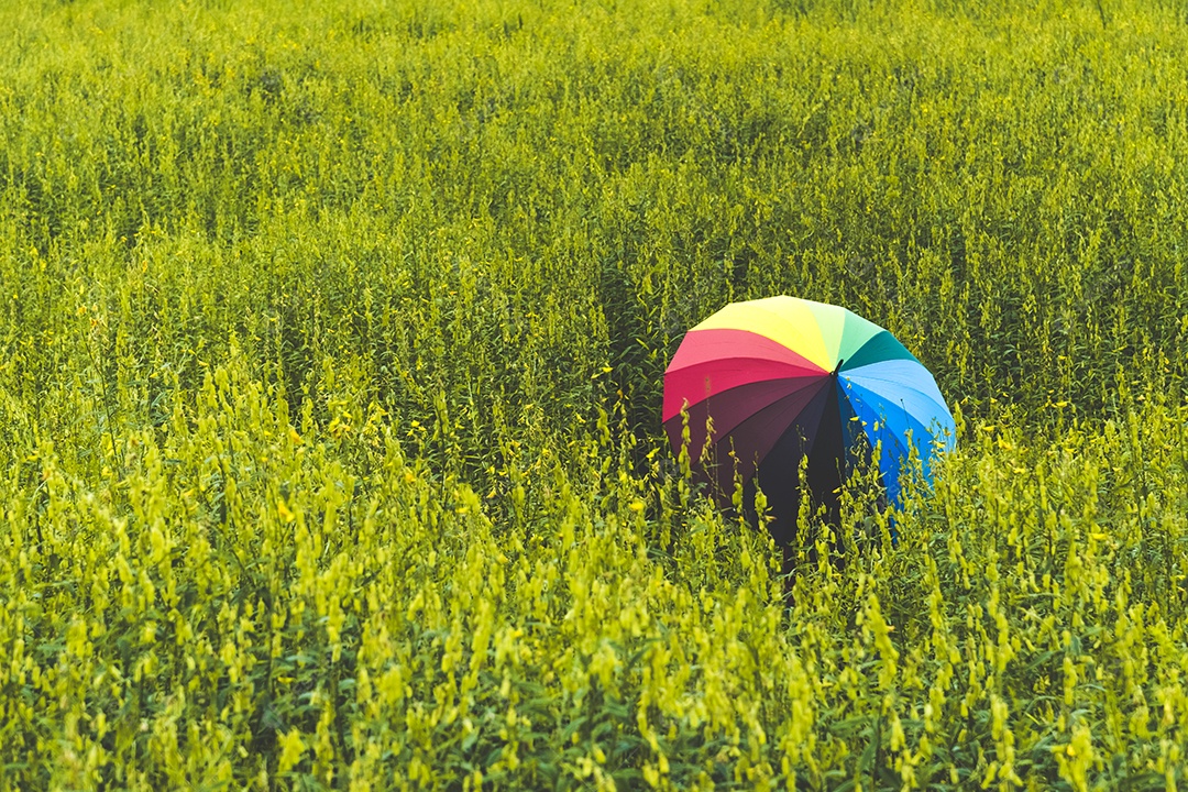 Vista traseira do guarda-chuva de arco-íris colorido segurando por mulher no campo Prado.