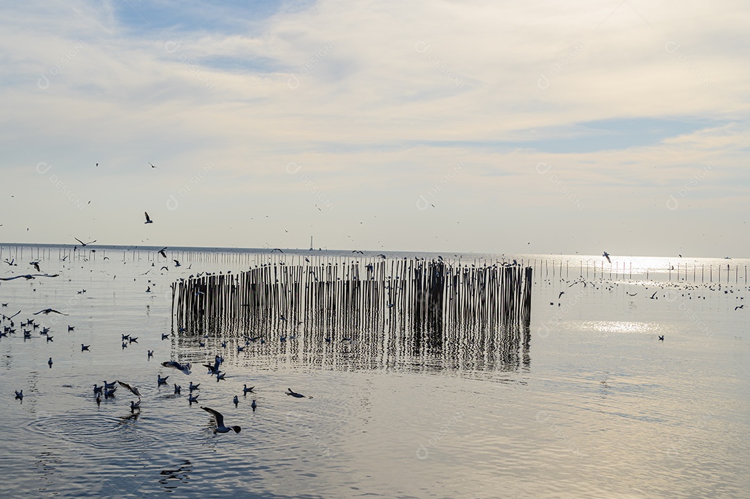 Fazendo negócios e viajando ao redor do mundo e negociando em todo o mundo.