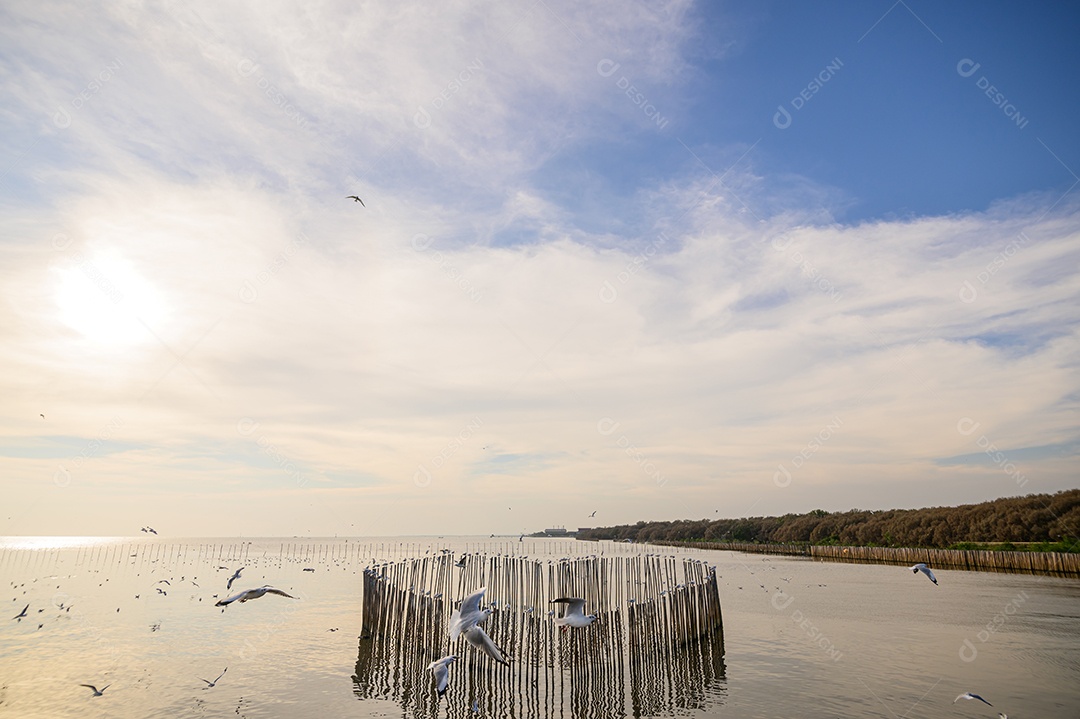 Fazendo negócios e viajando ao redor do mundo e negociando em todo o mundo.
