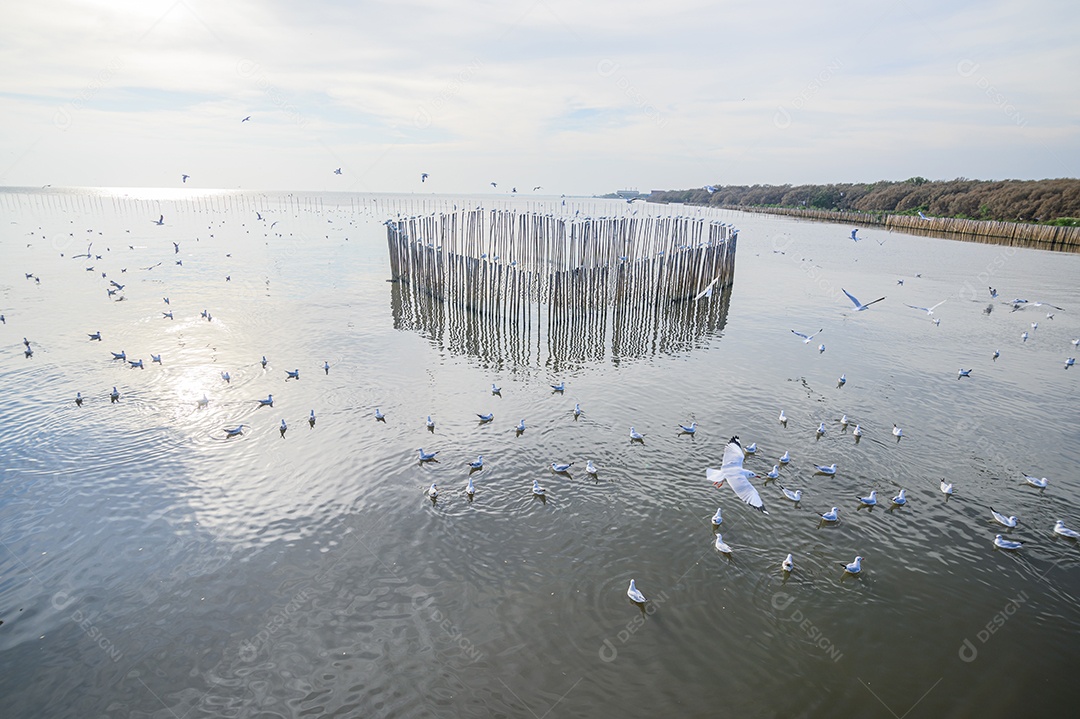 Fazendo negócios e viajando ao redor do mundo e negociando em todo o mundo.