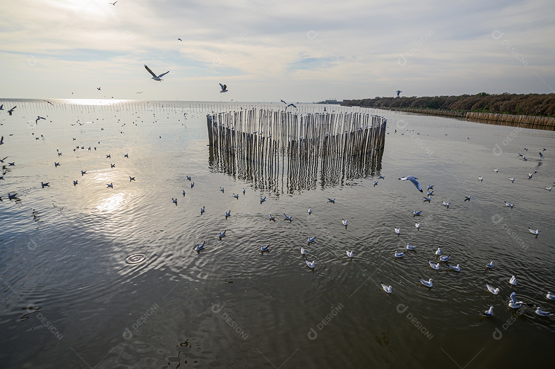 Fazendo negócios e viajando ao redor do mundo e negociando em todo o mundo.