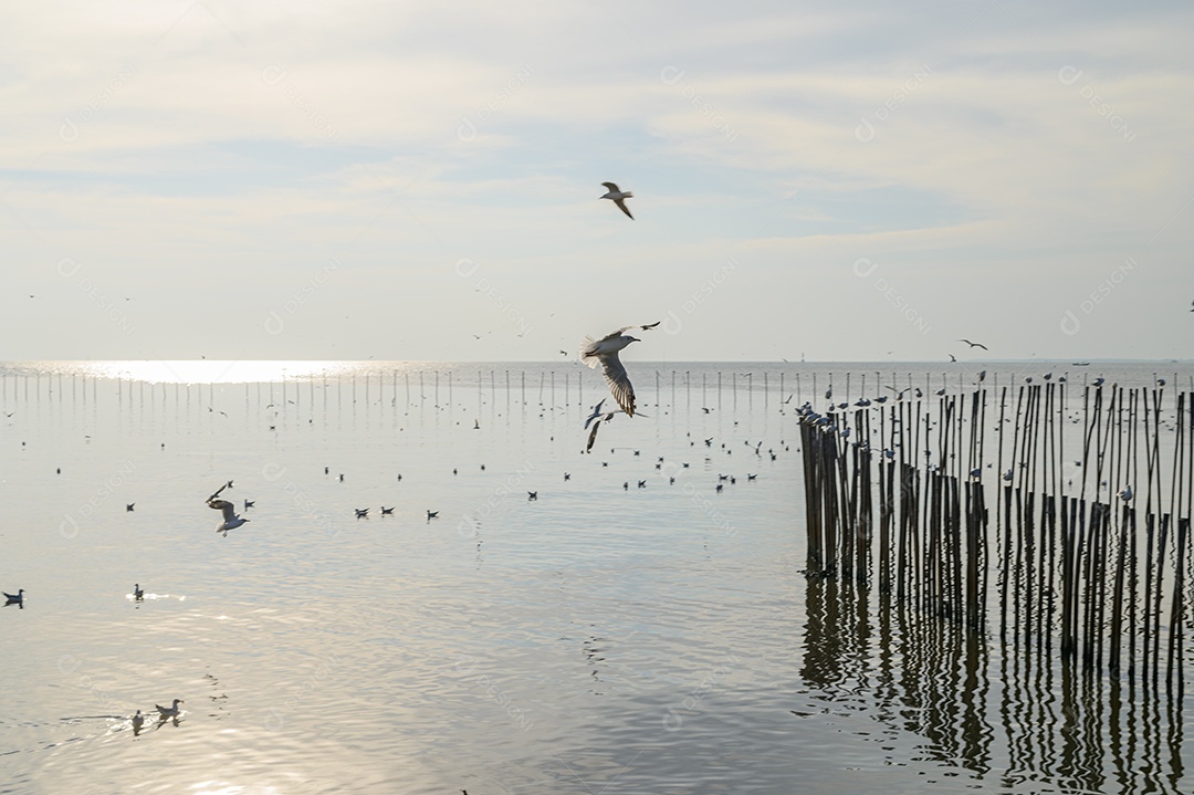 Fazendo negócios e viajando ao redor do mundo e negociando em todo o mundo.
