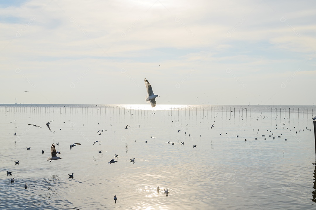 Fazendo negócios e viajando ao redor do mundo e negociando em todo o mundo.
