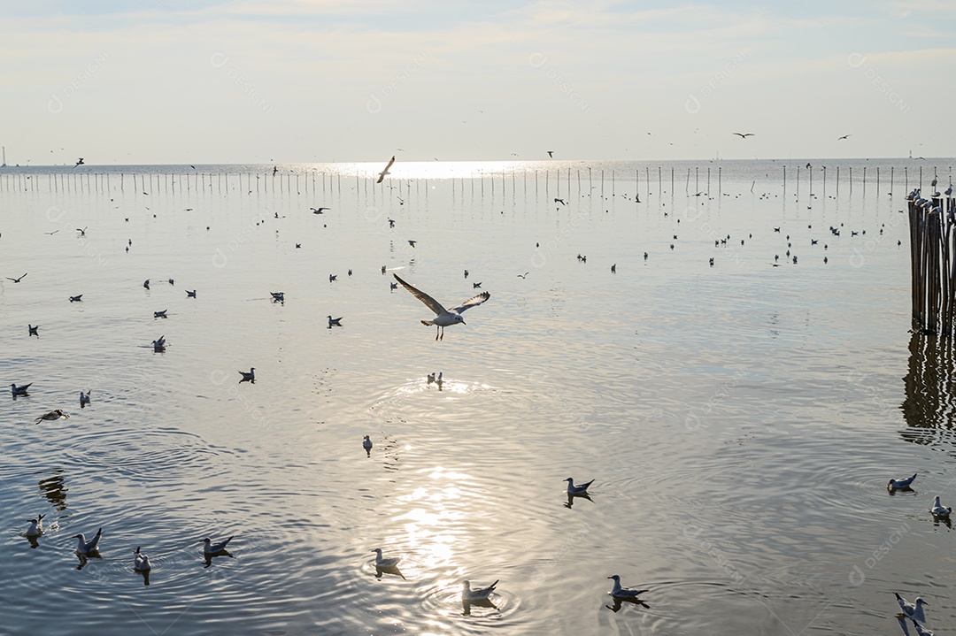 Fazendo negócios e viajando ao redor do mundo e negociando em todo o mundo.