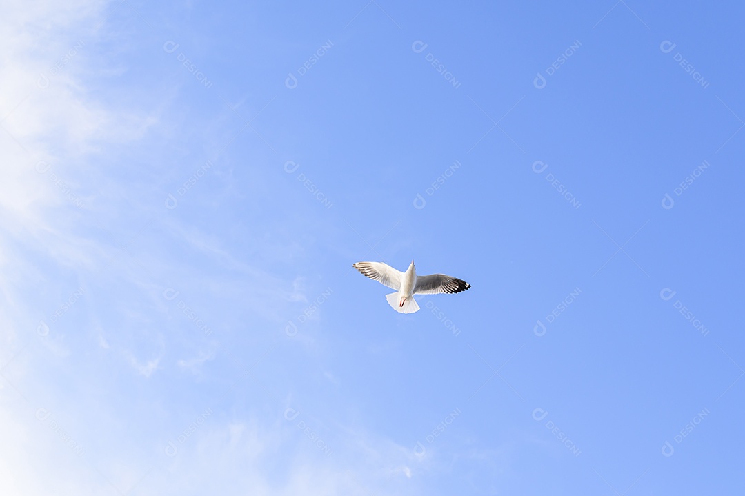 Fazendo negócios e viajando ao redor do mundo e negociando em todo o mundo.