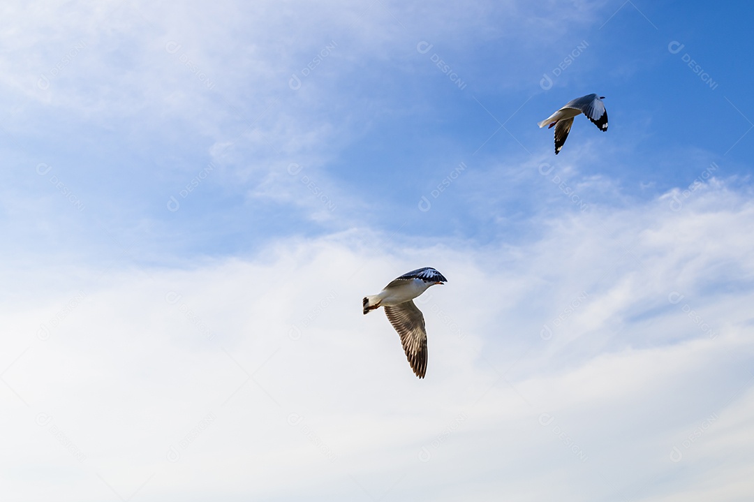 Fazendo negócios e viajando ao redor do mundo e negociando em todo o mundo.