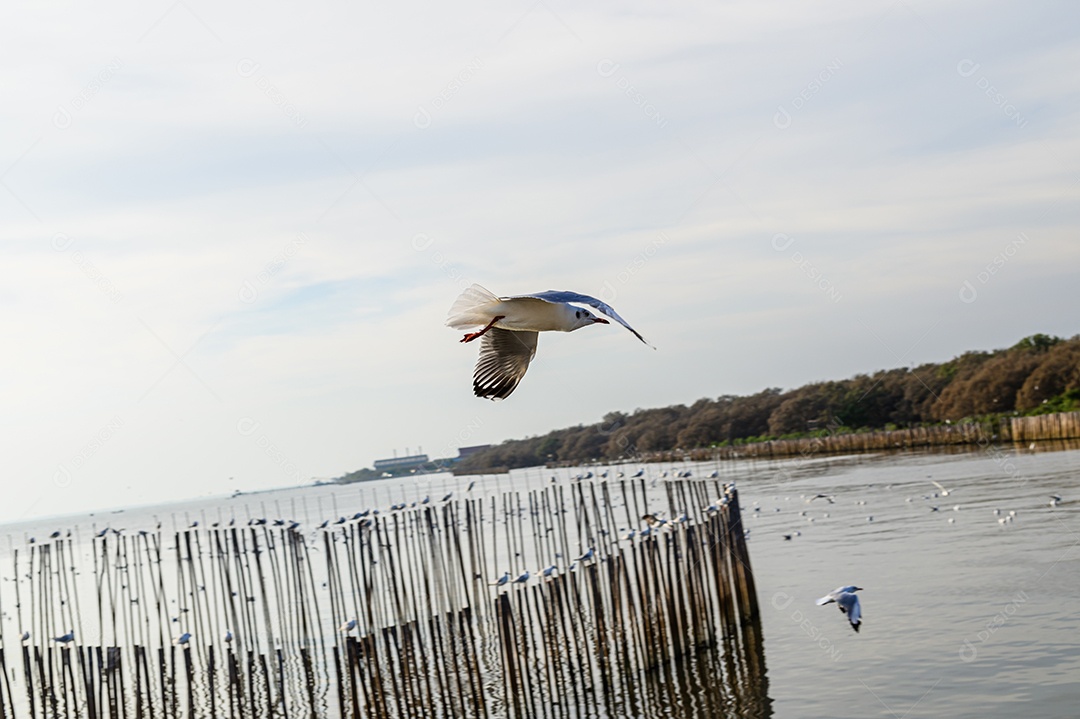 Fazendo negócios e viajando ao redor do mundo e negociando em todo o mundo.