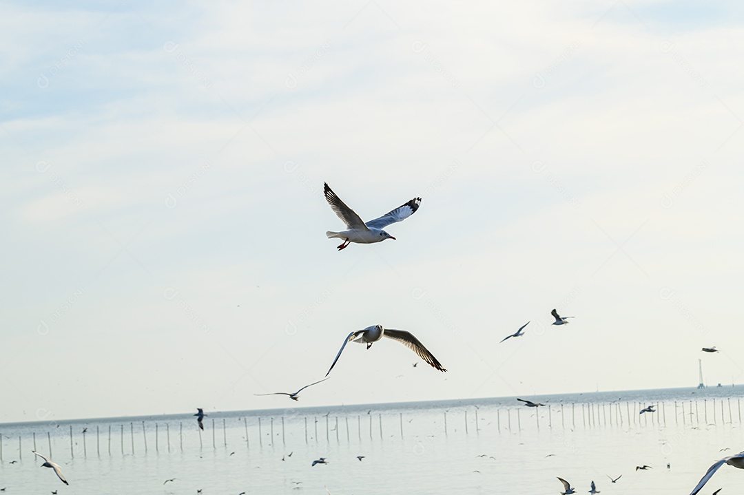 Fazendo negócios e viajando ao redor do mundo e negociando em todo o mundo.