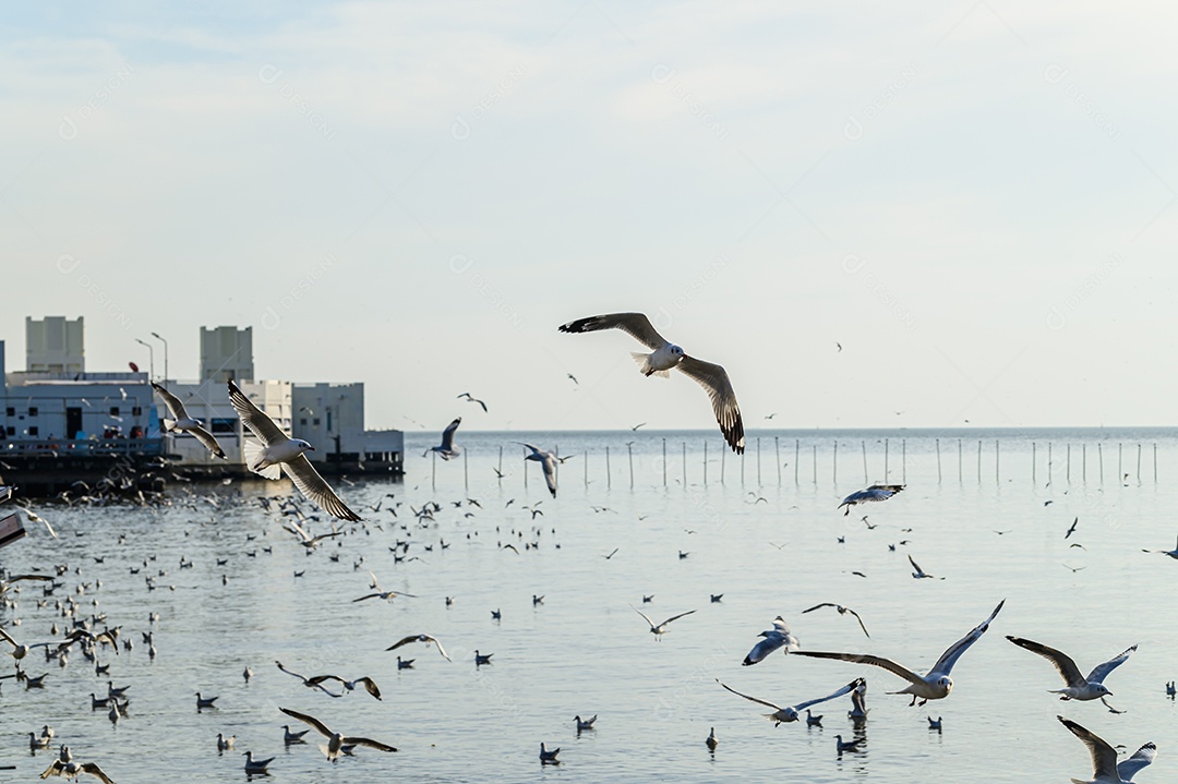 Fazendo negócios e viajando ao redor do mundo e negociando em todo o mundo.