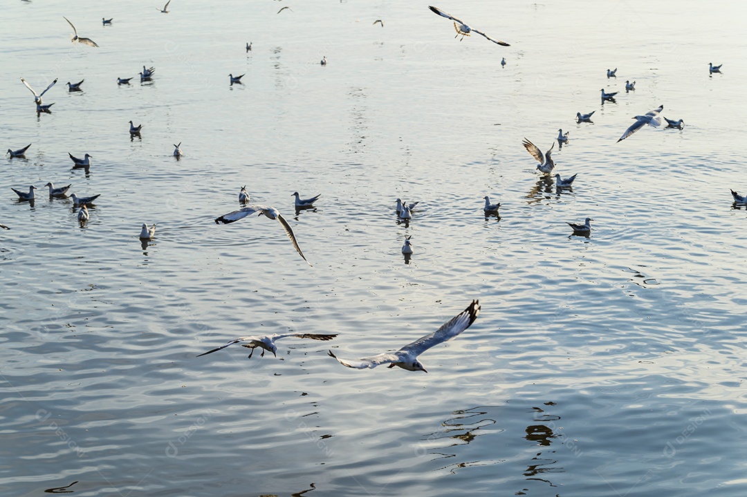 Fazendo negócios e viajando ao redor do mundo e negociando em todo o mundo.