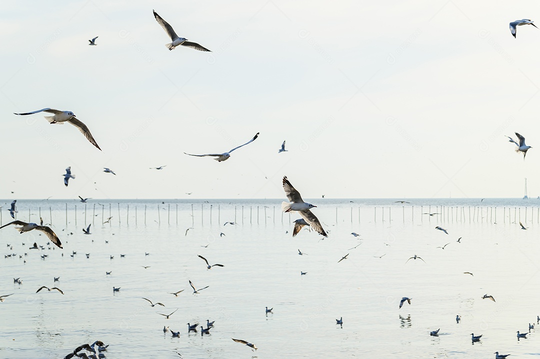 Fazendo negócios e viajando ao redor do mundo e negociando em todo o mundo.
