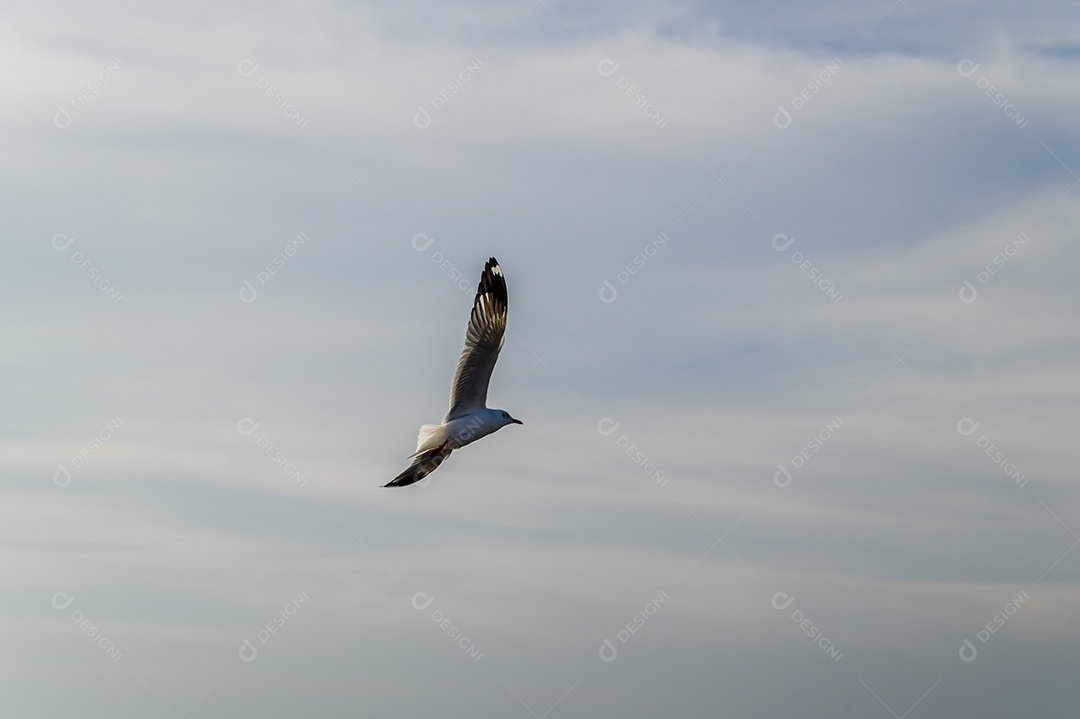 Fazendo negócios e viajando ao redor do mundo e negociando em todo o mundo.