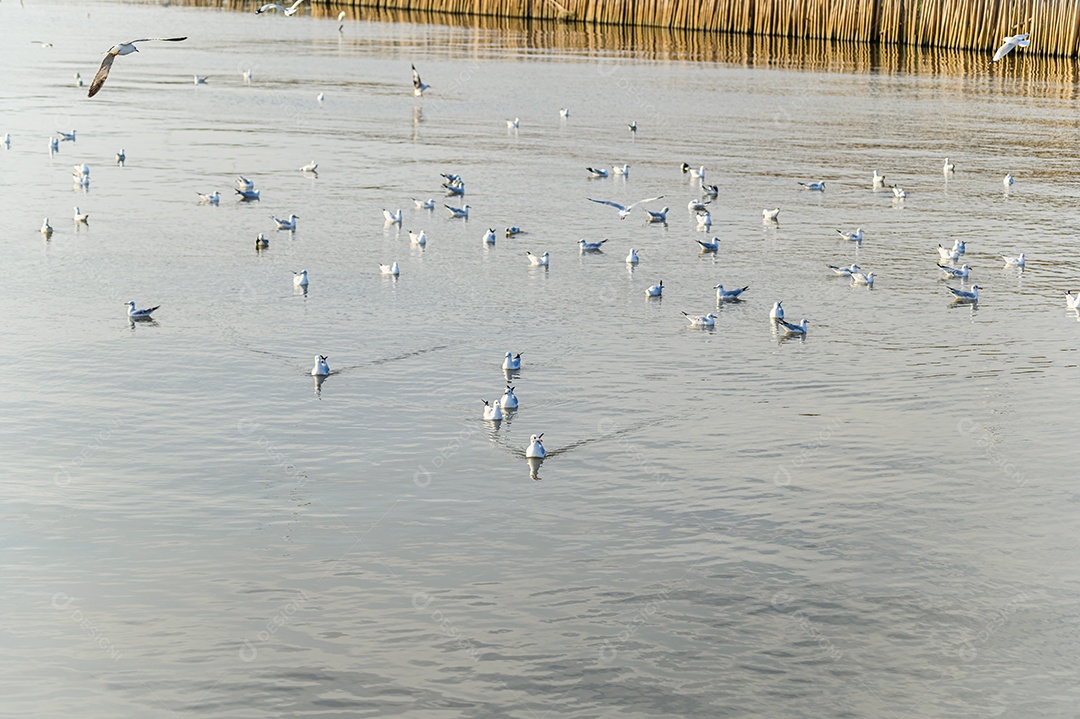 Fazendo negócios e viajando ao redor do mundo e negociando em todo o mundo.