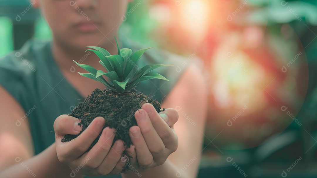 A mão do menino segura uma muda verde com solo.