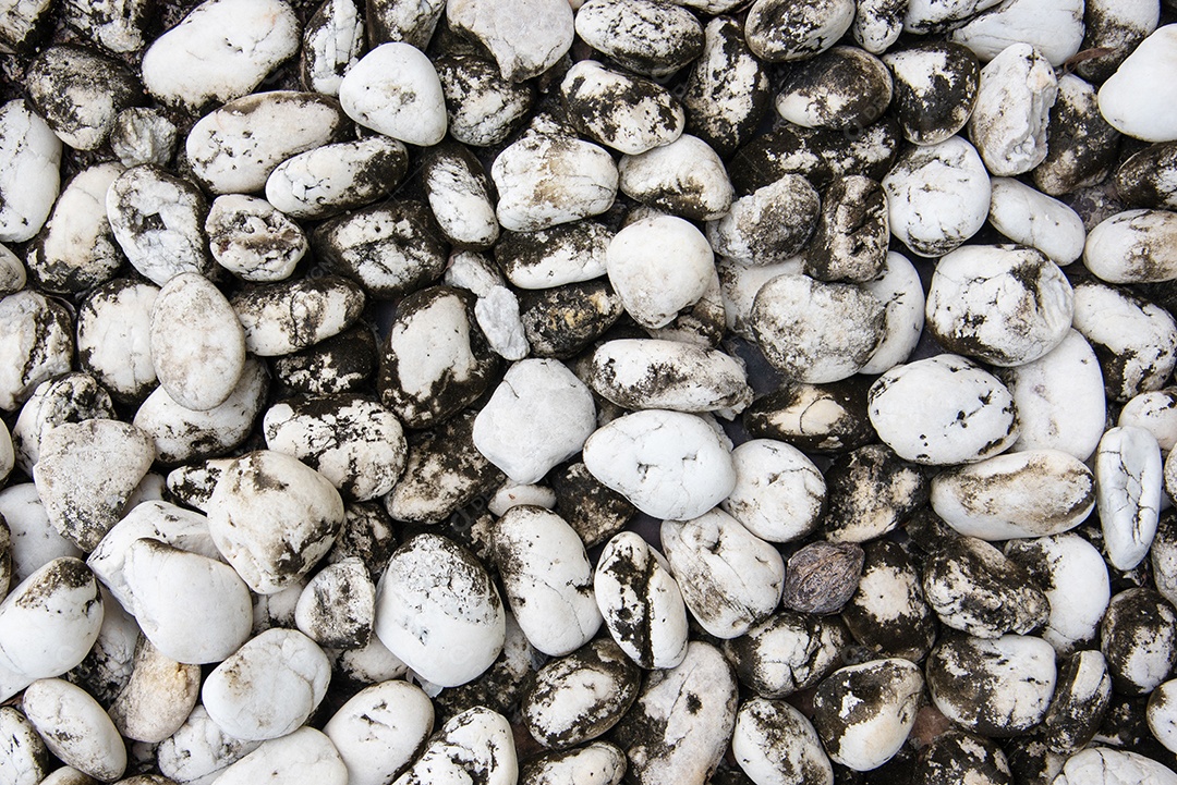 Fundo de pedras de seixo do mar. Conceito de textura e natureza.