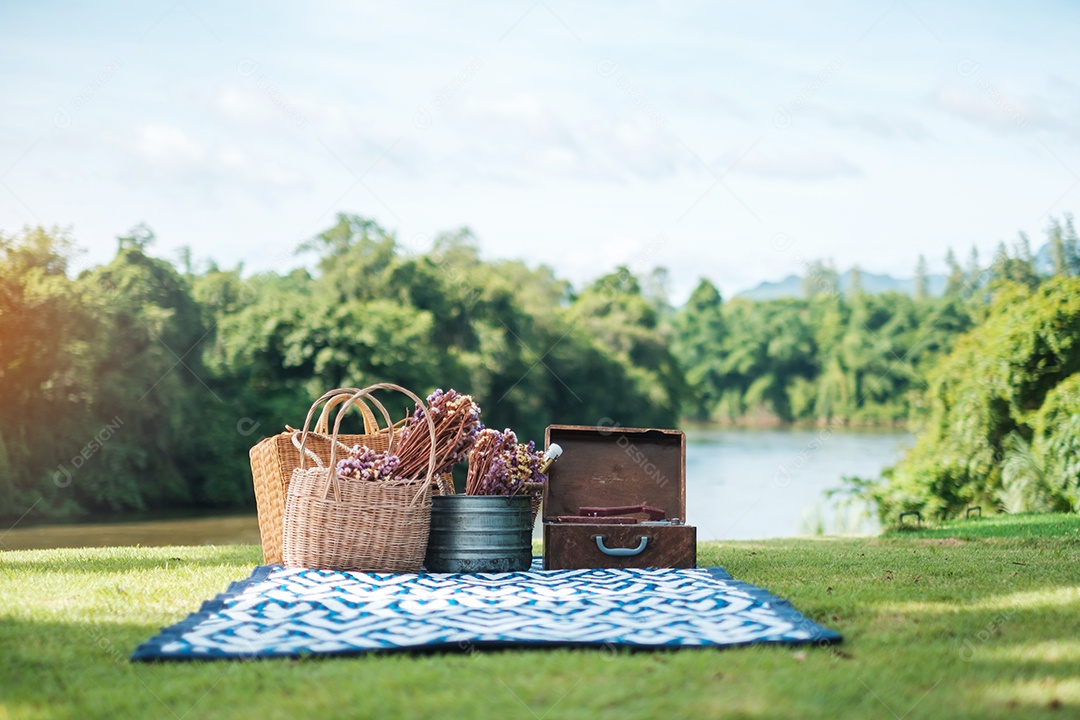 piquenique situado no parque perto do rio, flores secas, garrafa de vinho de cestas, livro e disco de vinil de gramofone retrô. Conceito de verão, primavera e férias