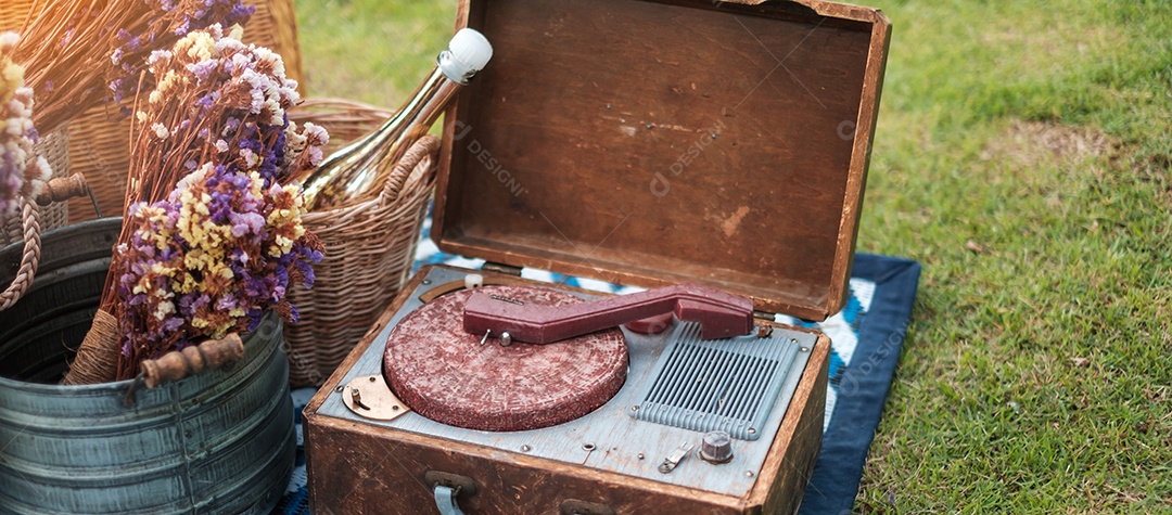 piquenique situado no parque perto do rio, flores secas, garrafa de vinho de cestas, livro e disco de vinil de gramofone retrô. Conceito de verão, primavera e férias